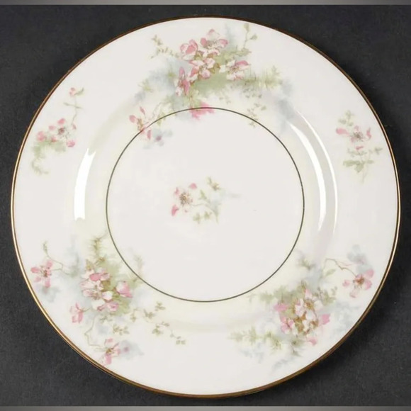 Apple Blossom (New York) by HAVILAND Salad Plate 7 1/2 in EUC - Picture 1 of 5